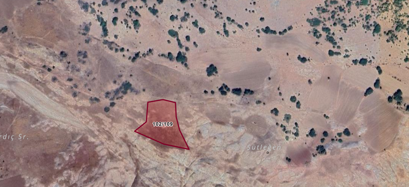 SİVAS DİVRİĞİ MADENLİ KÖYÜ 8.778 M² TARLAMIZ SATILIKTIR. - SİVAS DİVRİĞİ fotoğraf 5